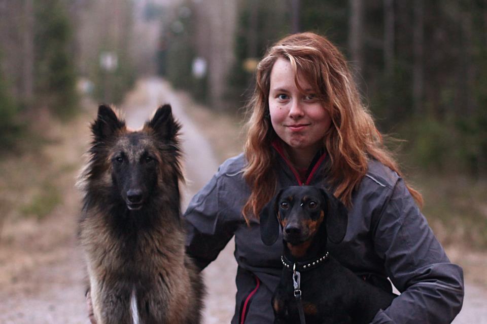 Kaikkien lajien harrastaminen lähtee koiran perushallinnasta ja se on se mikä tekee arjesta koiran kanssa helppoa.