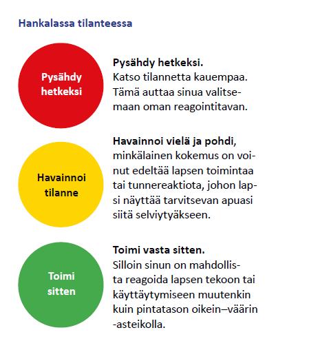 Mielenlukutaitoa ryhmässä Lapsi yksilönä ja osana ryhmää Aikuinen on lapsen turvakehänä pohtii käyttäytymisen lisäksi yksittäisen lapsen sisäistä kokemusta seuraa ryhmän kokonaisuutta