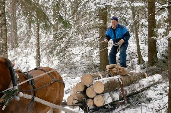 q Kuivilla metsätalousmailla rajat sovitetaan lähinnä maaston korkeus- ja kaltevuussuhteiden mukaan ja