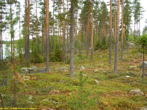 1 Kortesjärvi Saarijärven ranta-asemakaavaalueen