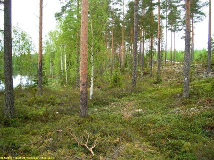 harjanteen länsireunalle joitain koekuoppia havaitsematta mitään erityistä.