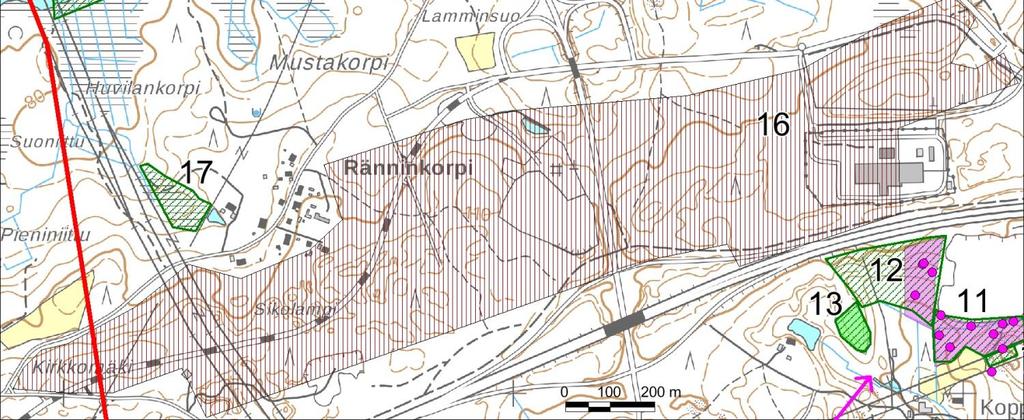 Ruoholammen pohjoisranta Ruoholammen lounais-, kaakkois- ja pohjoisrannoilla on leveinä vyöhykkeinä luhtaista rantarämettä ja -nevaa, pajuluhtaa ja järviruokokasvustoja.