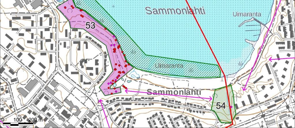 Saimaa-Lietvesi FINIBA-alue ja Pien-Saimaan MAALI-alue Selvitysalueella oleva Saimaan vesialue sisältyy Suomen tärkeisiin FINIBAlintualueisiin kuuluvaan Saimaan Lietveden-aluekokonaisuuteen (Leivo ym.