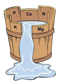 Kasvien tarvitsemat pääravinteet: N,P,K,S,Ca,Mg Kasvit tarvitsevat myös