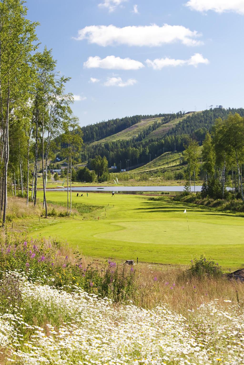 HIMOKSEN MASTER PLAN 2035