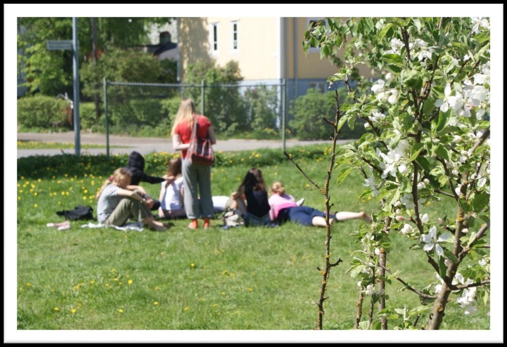 Koulun, kunnan ja seutukunnan