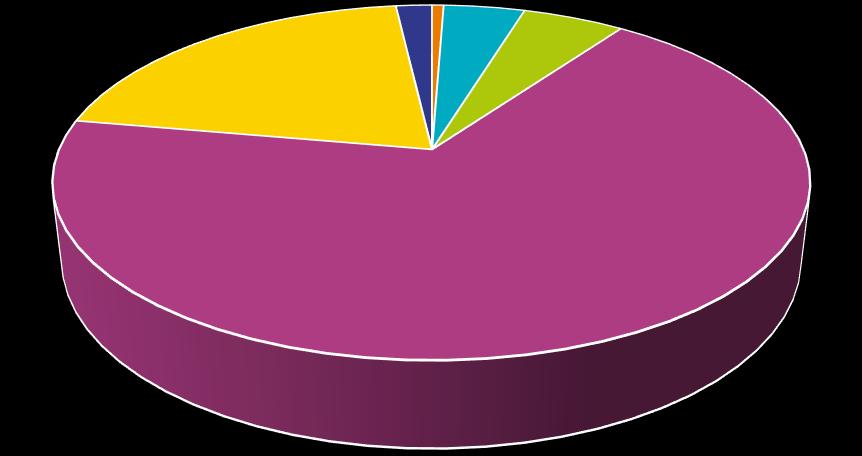 5.1.8 Henkilöstön poissaoloeurojen jakaantuminen poissaolotyypin mukaan POISSAOLOEUROJEN JAKAANTUMINEN POISSAOLOTYYPIN MUKAAN sairaus 20 % muut 2 % tapaturma 1 % perhepol.