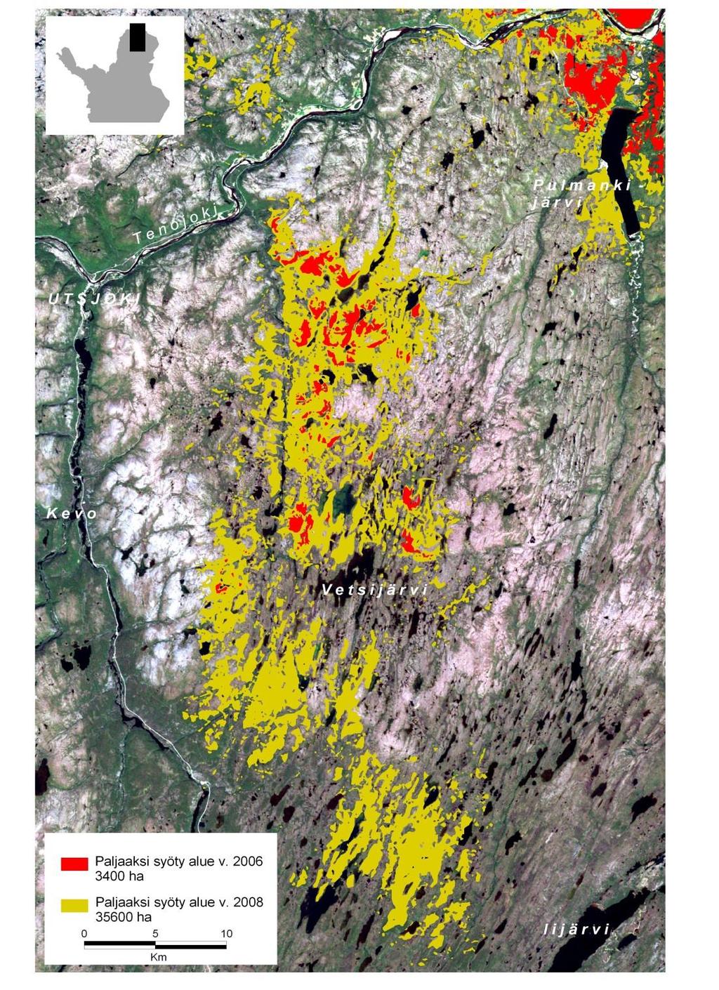 Birch damage in northernmost Finland caused by winter moth (Operophtera brumata) -