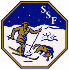 2015-03-25 Skolmästerskap - Haparanda Kommun Flickor åk 3 Intervallstart fri stil 1,7 km 1 10 KOSKELA Martta 7:42 0 2 11 KINNUNEN Ingela Montessori Droppen 8:15 33 3 60 SÖDERSTRÖM Mia-Stina