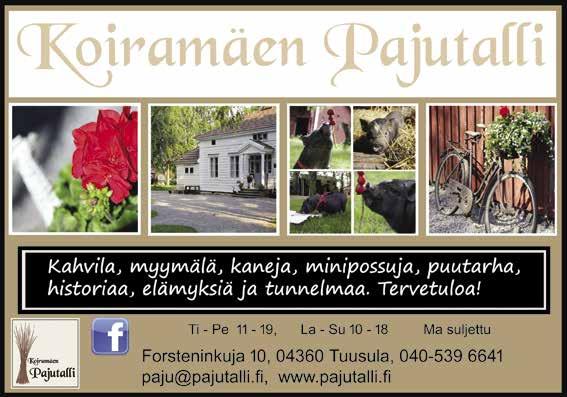 Sitten katse tavoittaa joukon toppavaatteisiin kääriytyneitä ihmisiä. Ensimmäinen ajatus on, että kyseessä on Suomen ilmastoon varustautuneet turistit tutustumassa Vanhankylänniemeen.
