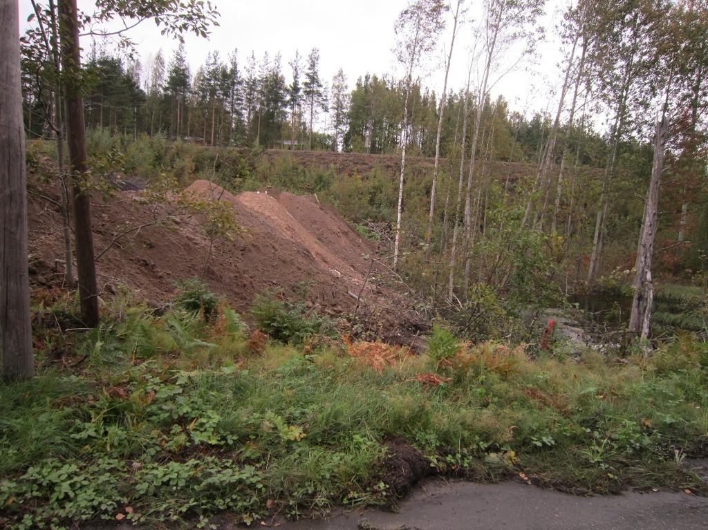Kaava-alueen koillispuolella sijaitsevaa viheraluetta. Taustalla kohoaa karjalanradan ratapengertä (KP 7.9.2016).