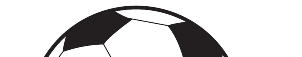 Toimintakertomus