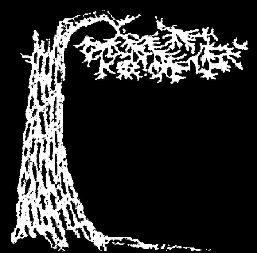 Suomikoti-yhdistys Vastaava