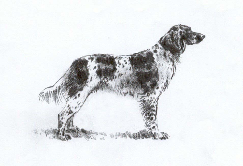 Saksanseisojakerho r.y.