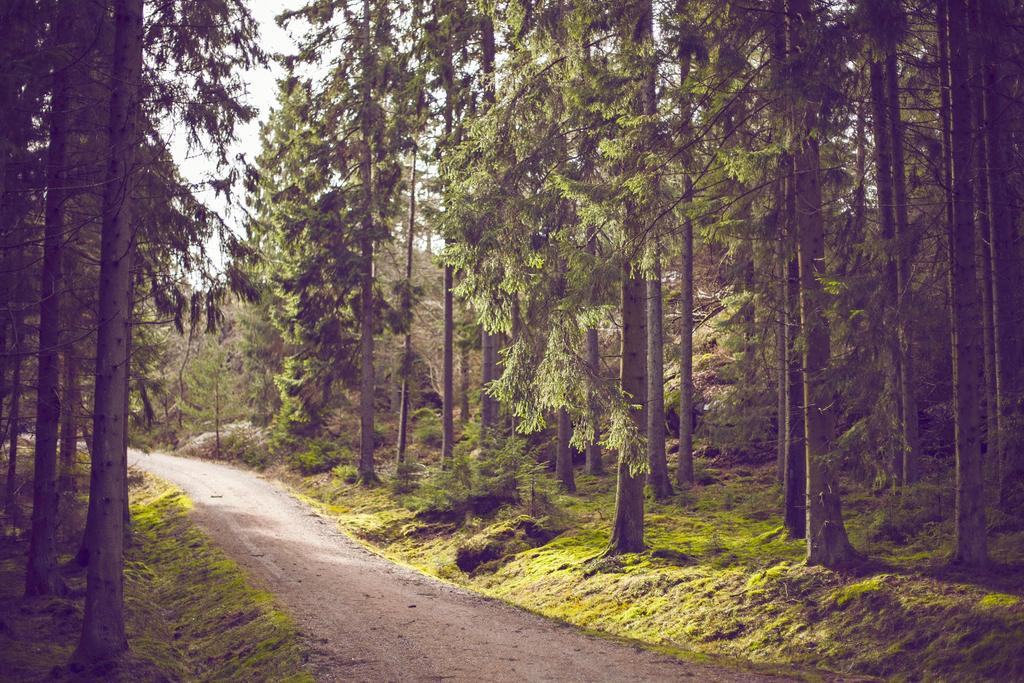 Lapin alueella on saatavana intensiivistä kotihoitoa paljon palveluja tarvitseville Palvelurakennetta voidaan kehittää kotihoitopainotteisemmaksi.