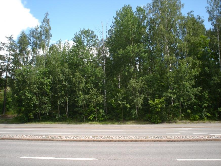 Yli-Pelkonen V, Setälä H, Viippola V (27) Urban forests near roads do not reduce gaseous air pollutant concentrations but have an impact on particles levels. Landscape and Urban Planning 58: 39-47.