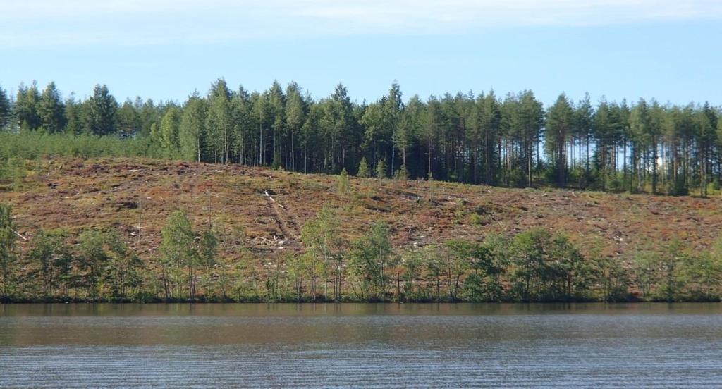 Suojavyöhykkeet Suojavyöhyke estää kiintoainetta ja ravinteita päätymästä