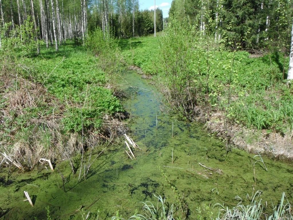 Mitä vesistökuormitus on? Ravinnekuormitus Haitallisimpia kasvien pääravinteet typpi (N) ja fosfori (P).