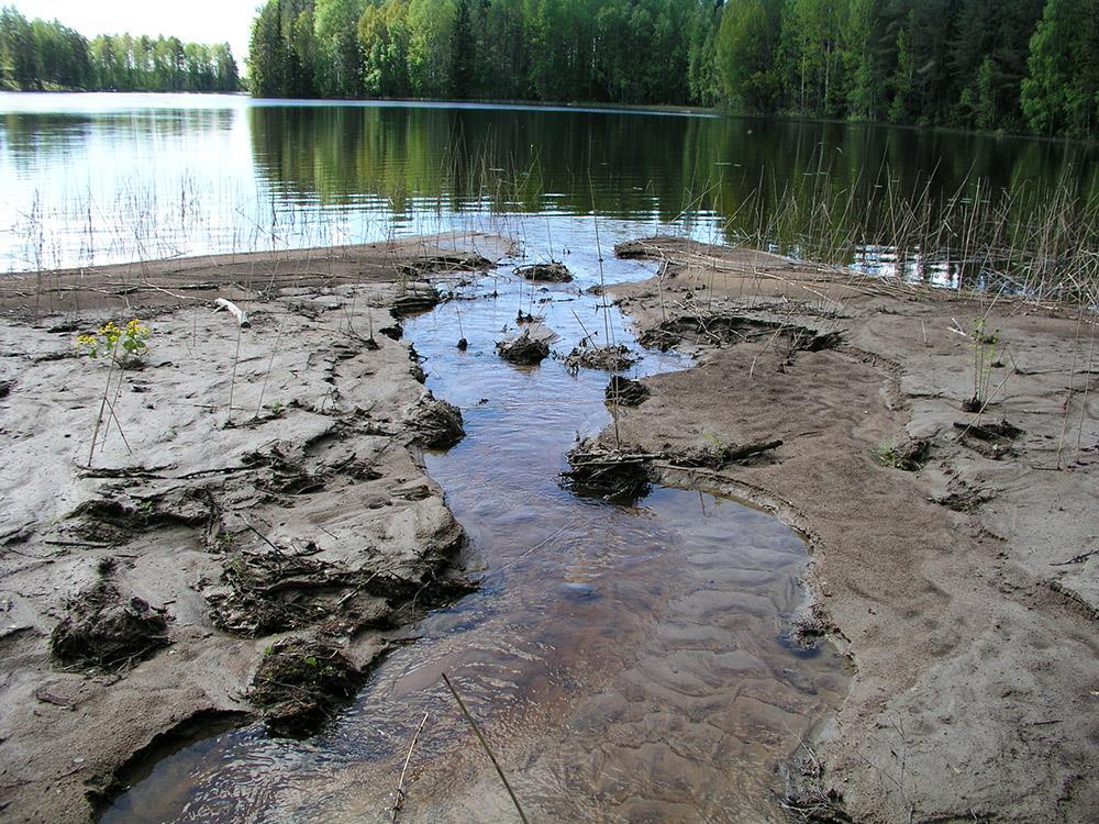 Metsätalouden aiheuttama vesistökuormitus on pääasiassa kiintoainesta.