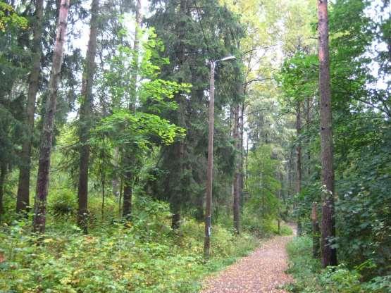 tomuutoksen vaikutuksen seurauksena. Jalojen lehtipuiden suosiminen metsien ja pienpuuston hoidossa lisää lämpimämpään ilmastoon sopeutuvien puulajien määrää metsäkasvillisuudessa.