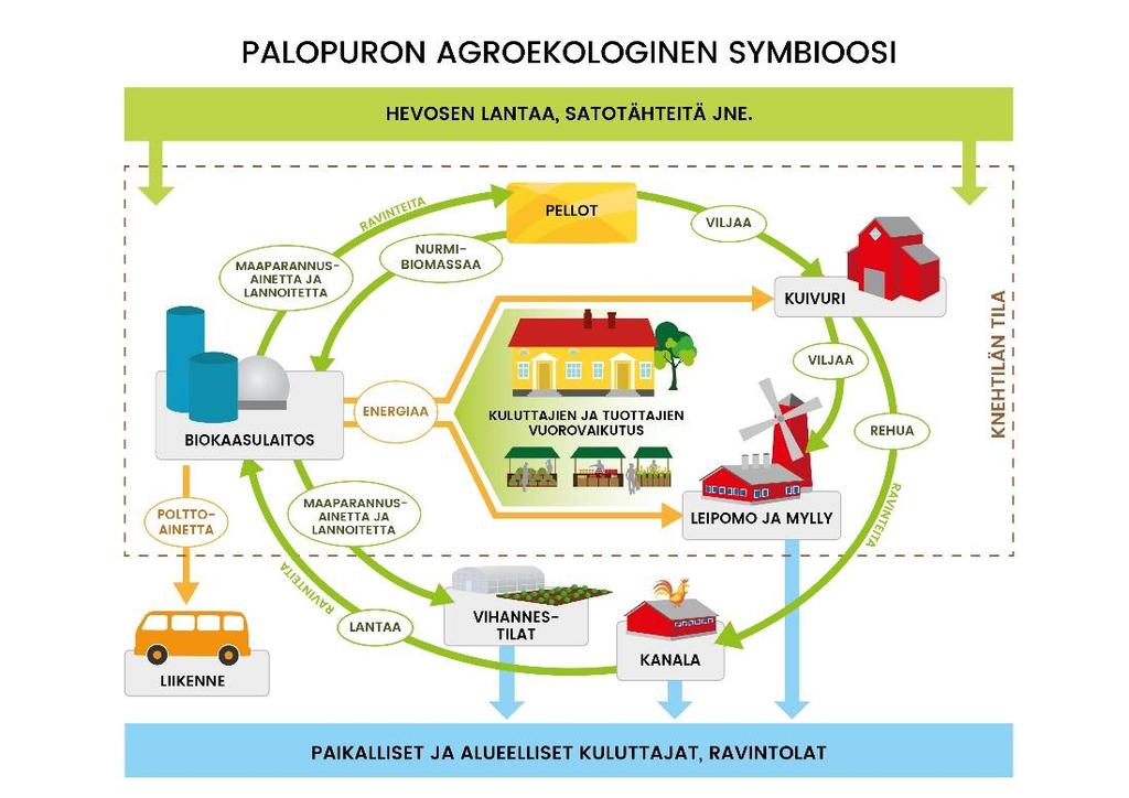 Kuva 1. Palopuron agroekologisen symbioosin toimijat ja keskeisimmät ravinne- ja energiavirrat. 4.