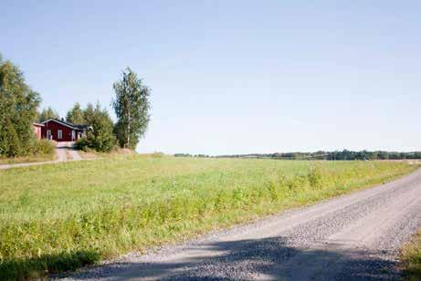 243 Auralantie Heinilan ja Töyrylän välistä