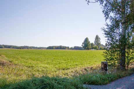 jpg 243 Kylänpään kohdalta näkymä kohti