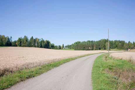 Rusutjärveä IMG_8332.