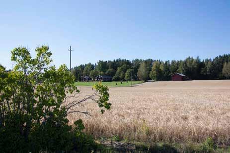 IMG_8305.jpg  Rusutjärveä 4 IMG_8330.