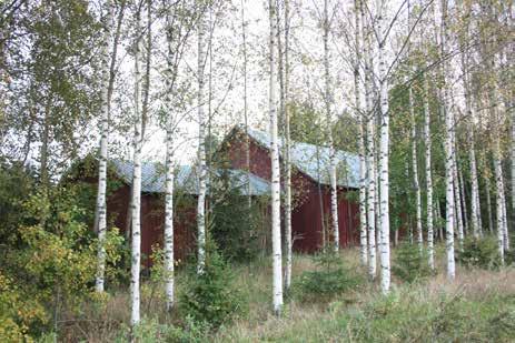 242E Yli-Penttilän ladot