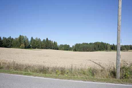 64 Tiiviillä, mutta rakennuksiltaan vahvasti uusiutuneella kylämäellä on säilynyt joitakin vanhempia rakennuksia.