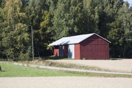 talli IMG_8286.