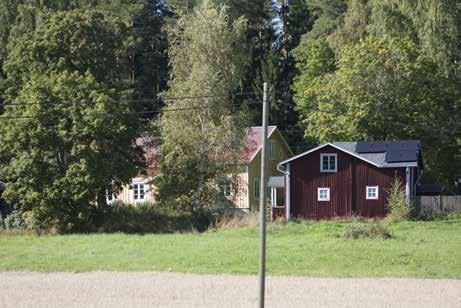 hirsinavetta IMG_8285.