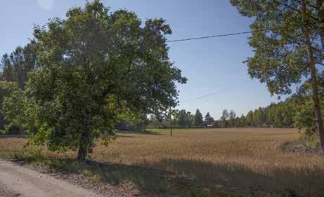 Torpparikylän (Siippoon Nummitien) raittimainen rakenne kehittyi 1870-luvun jälkeen: vuosina 1870-71 laaditulla topografikartalla on vain 1830-luvulla perustettu Nummi-Mattilan Ahola ja Santalan