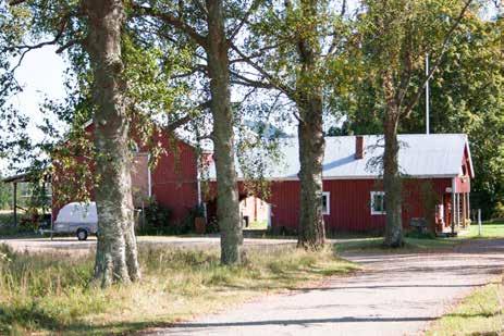 115 Päivölän koivukuja ja