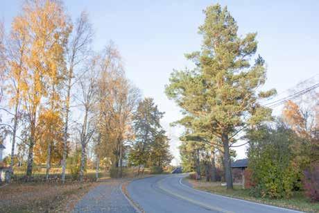 jotta kaunis kylänraitti peltoaukean takaa pilkottavan järvimaiseman kera