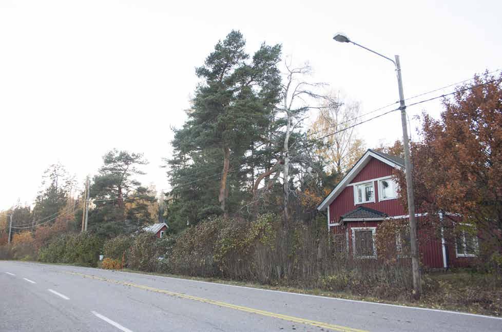 Alueen länsireunalla on Kotimäki, jonka vanha asuinrakennus on vuodelta 1934.(116i; luokka 2) Nykyisin talousrakennus eli ilmeisesti pihasauna, sivuasunto.