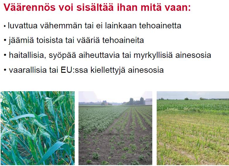 Mitä
