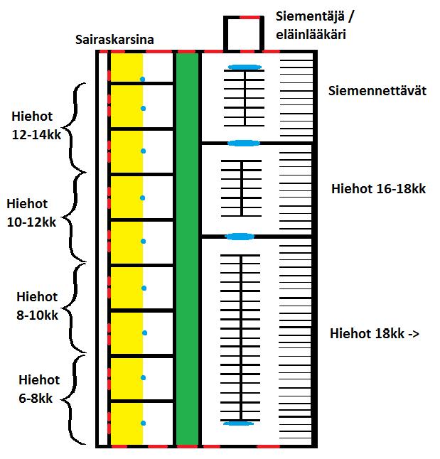 Kuva 1. Nuorkarjapihatto, jossa on isommille hiehoille parret ja pienemmille kestokuivikepohja (Kivinen, Hovinen, Norring, Seppä-Lassila, Sarjokari, Lätti, Karttunen & Tuure 2014, 15.