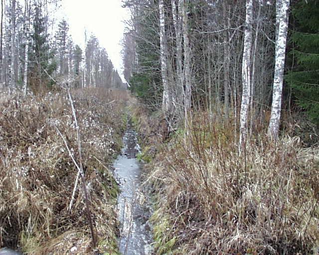 Metsäojitusalueen vedenlaatutuloksia, esimerkki Pinta: 1m paksu turvekerros kesä 2010: pohjaveden korkeus jatkuvasti n.