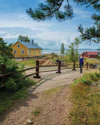FI METSÄ- JA PUISTOPALVELU KORPAS KY > pihapuiden kaato >