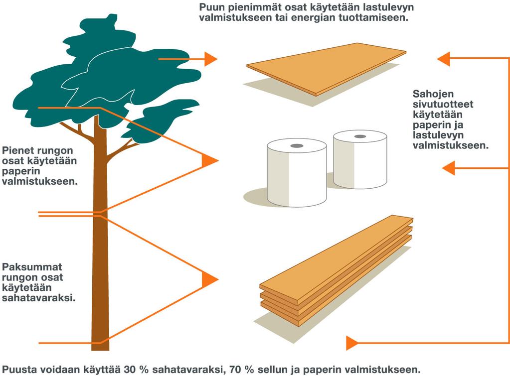 Puu uusiutuva ja