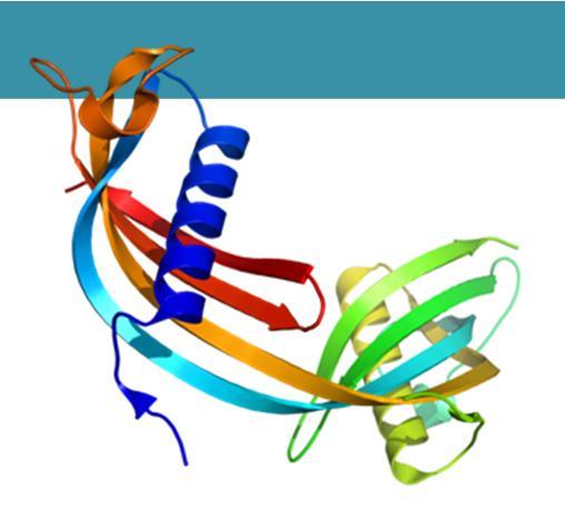 Kystatiini C (4507 P-CysC) Viitearvot: < 1.2 mg/l (3-50 v), < 1.