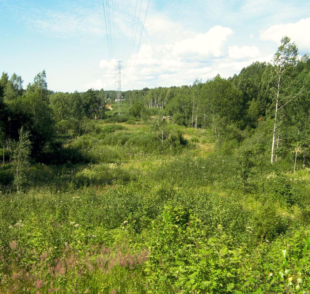 LATOKASKENNIITYN LÄNSIOSAN (NAURISKASKEN)