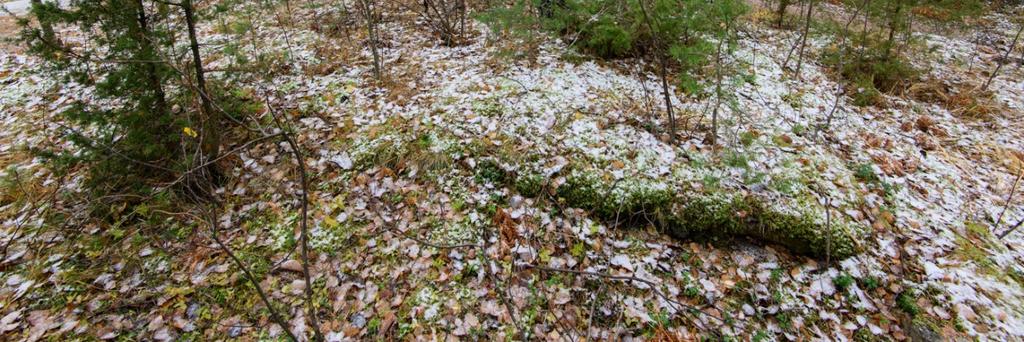 Konstunhiekan uimarannan eteläpuoleisessa niemessä on rakennuksen pohja. Kyseessä on ilmeisesti saunan pohja, kooltaan 4x4 metriä.