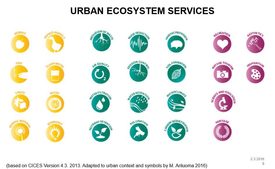Miksi ekosysteemipalveluiden tuominen kaupunkiympäiristöön Ilmastonmuutokseen sopeutuminen: Kasvillisuus - vähentää tulvariskiä - sitoo hiilidioksidia -