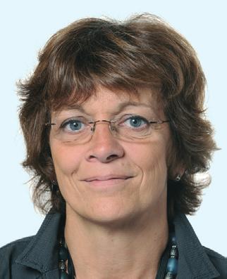 vuoden toimikaudeksi, joka voidaan uusia.