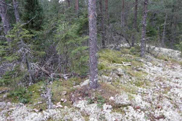 VAIKUTUKSET MUINAISJÄÄNNÖKSIIN 11 VAIKUTUKSET MUINAISJÄÄNNÖKSIIN 11.