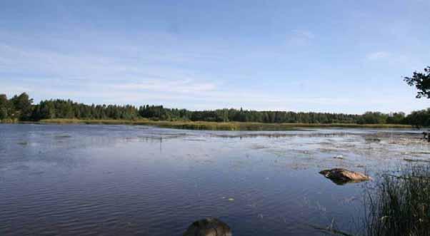 VAIKUTUKSET LUONNONYMPÄRISTÖÖN 12