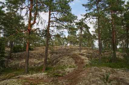 VAIKUTUKSET LUONNONYMPÄRISTÖÖN Vesijärvi on aikoinaan laskettu ja nykyisellään sen avovesipinta-ala on hyvin vähäinen.